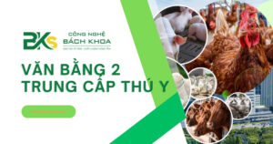 Văn bằng 2 Trung cấp Thú y