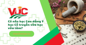 Cao đẳng Y học cổ truyền