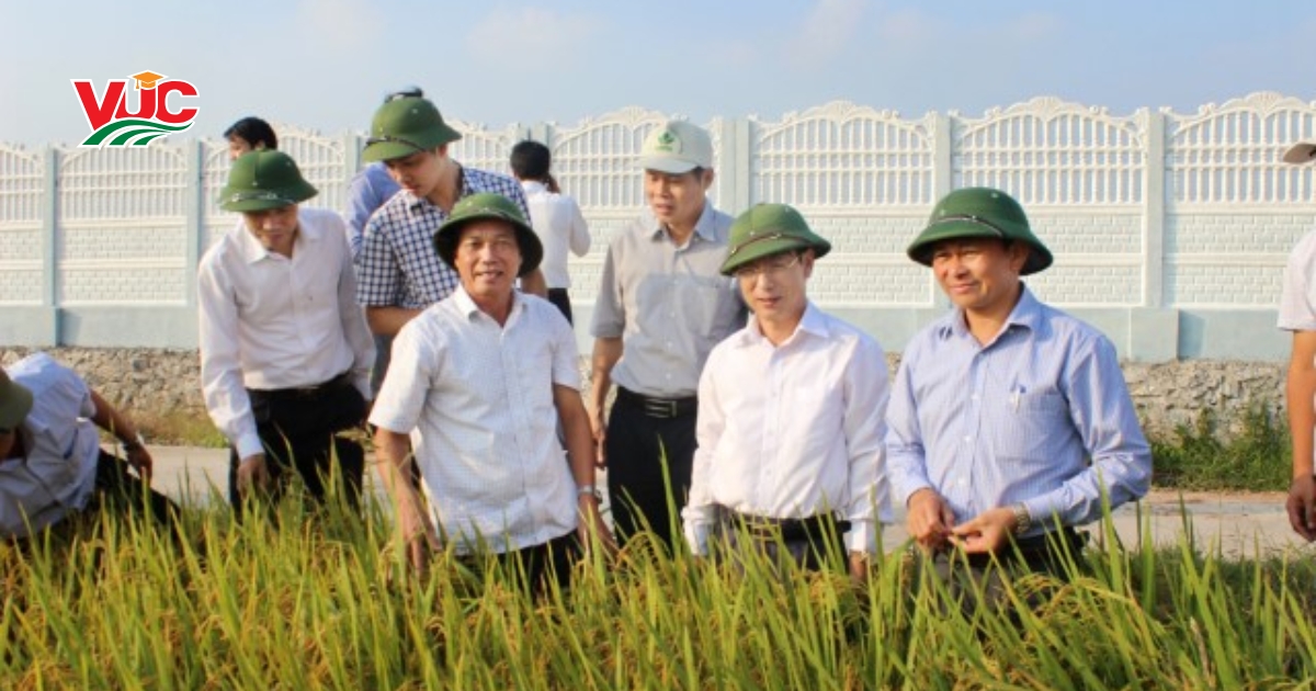 Cơ hội việc làm Trung cấp Trồng trọt và bảo vệ thực vật