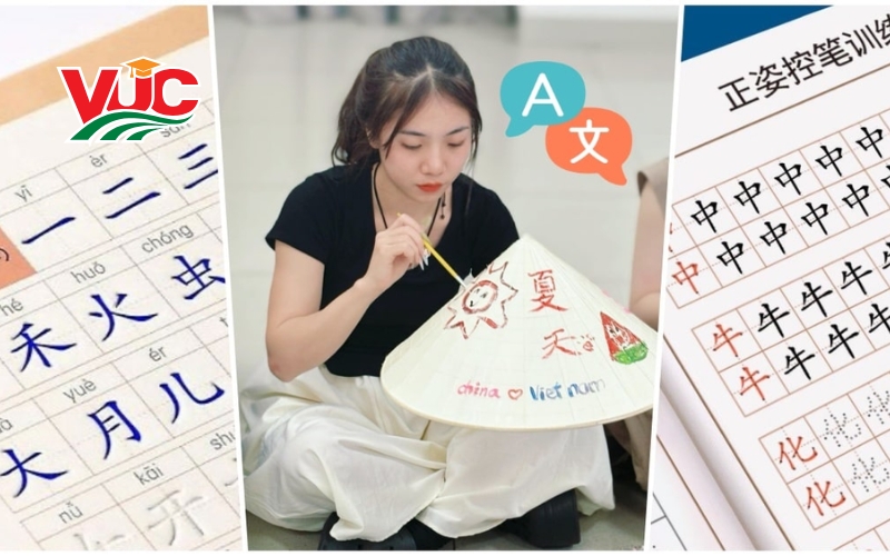 Có nên học Cao đẳng Tiếng Trung Quốc