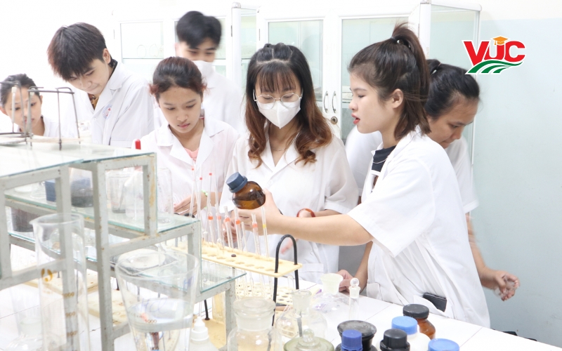 Học Cao đẳng Dược ở đâu uy tín?