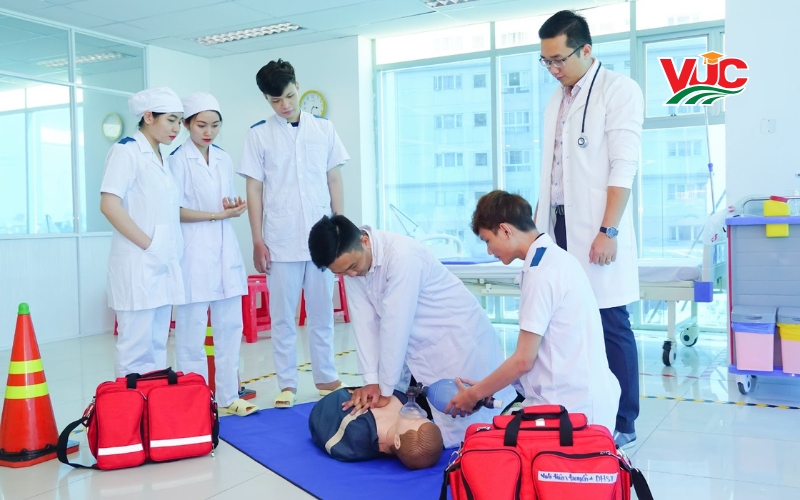 Mô tả chi tiết công việc của Cao đẳng Y sĩ đa khoa 