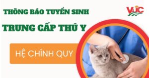 Thông báo tuyển sinh Trung cấp Thú y chính quy