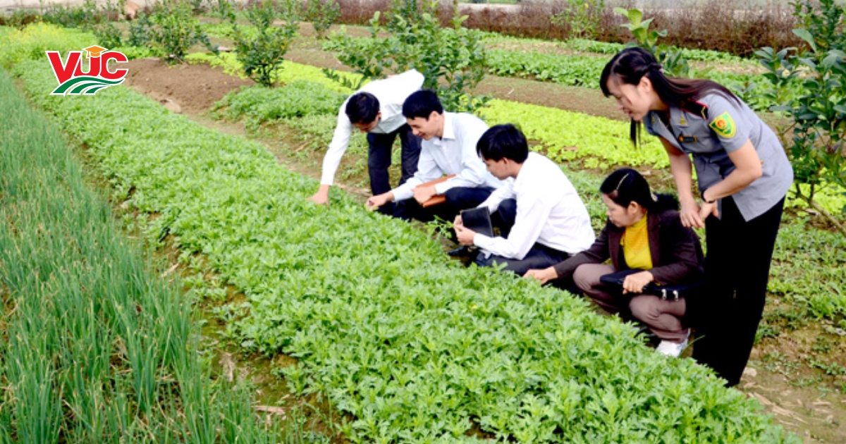 Tìm hiểu về Trung cấp trồng trọt và bảo vệ thực vật