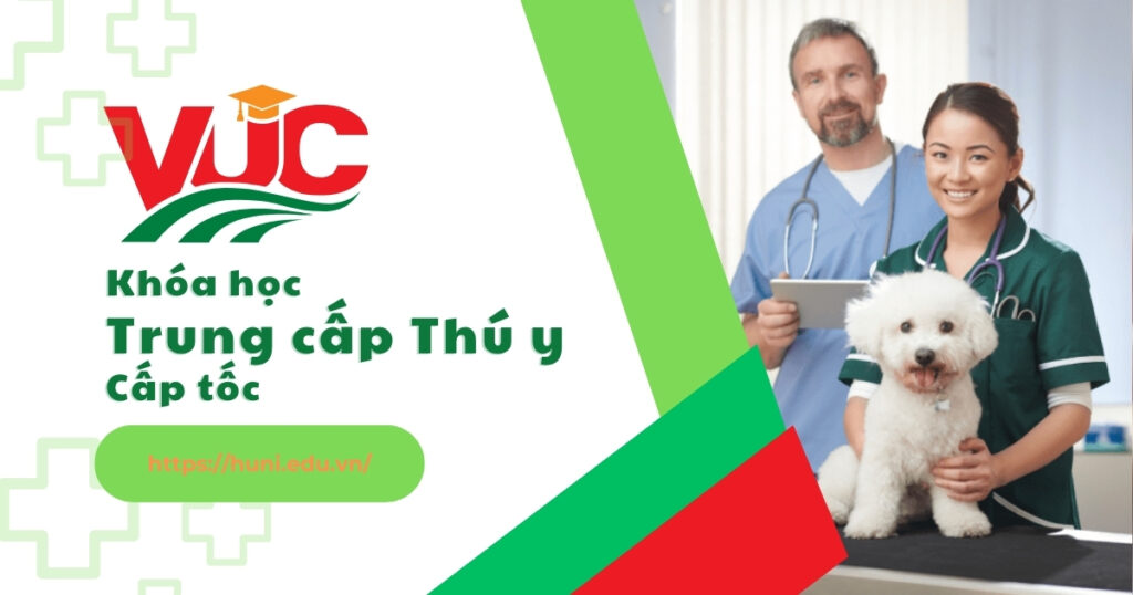 Trung cấp thú y cấp tốc