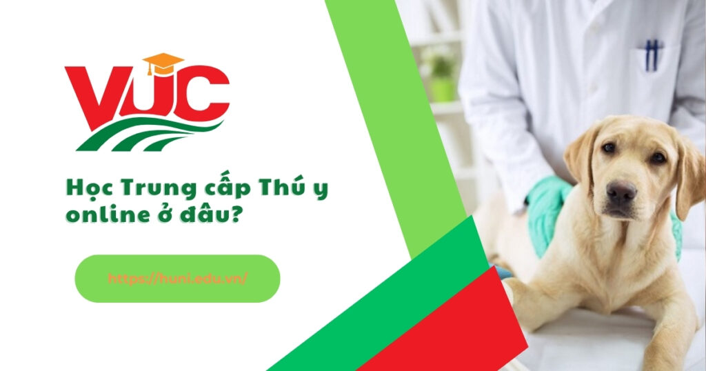 Trung cấp thú y online