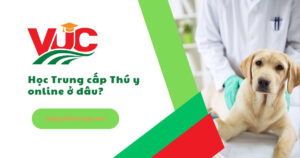Trung cấp thú y online