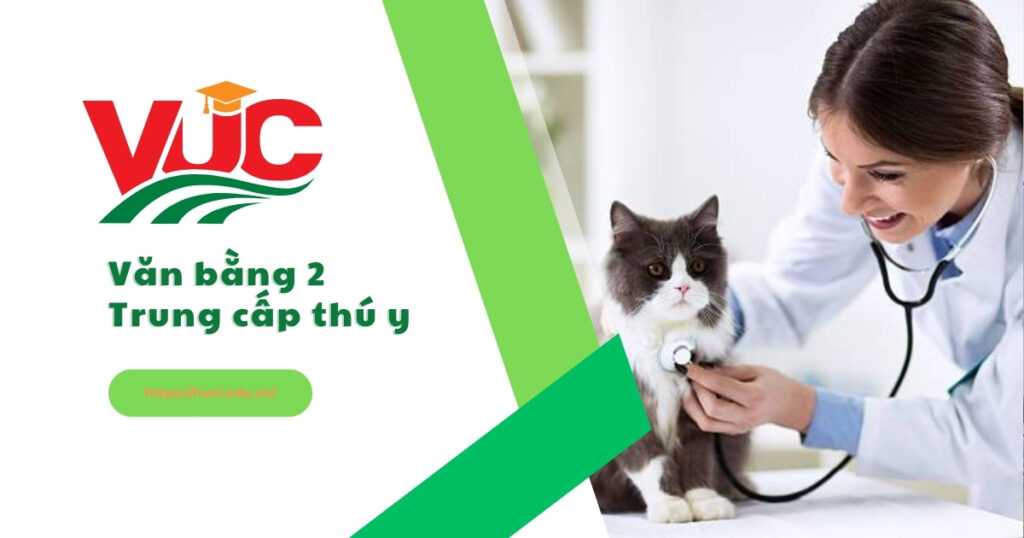 văn bằng 2 Tung cấp thú y