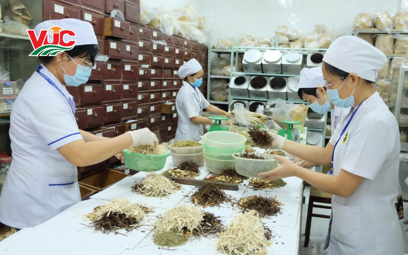 Chương trình khung trung cấp Y học cổ truyền cấp tốc