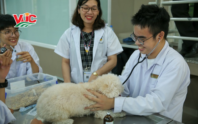 Giới thiệu về Trung cấp Thú Y cấp tốc