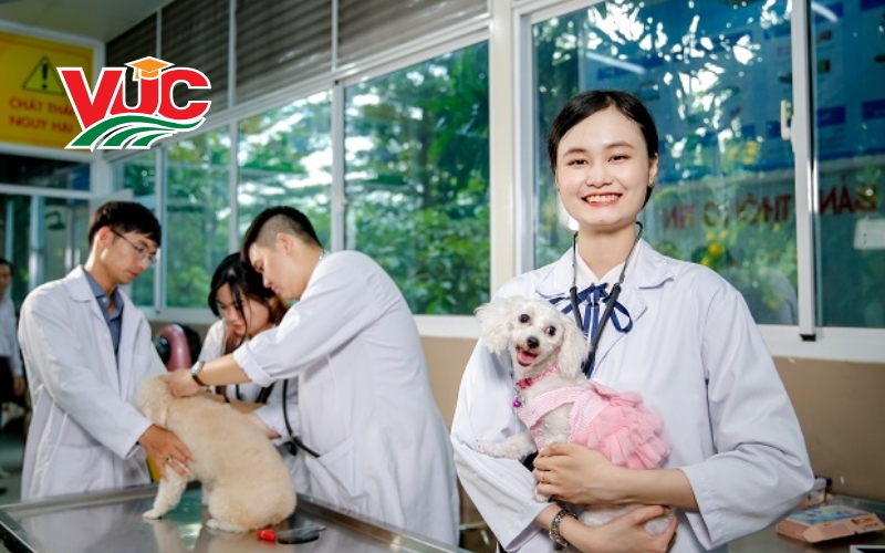 Những yếu tố nào phù hợp để học Cao đẳng thú y?