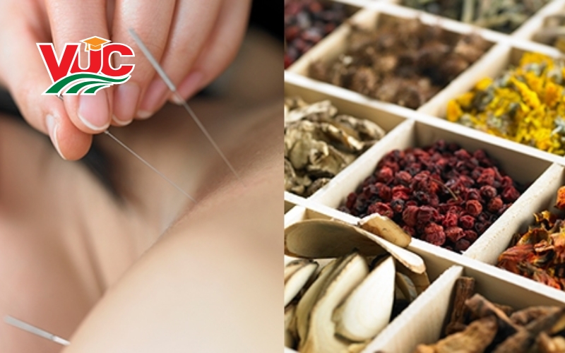 Thời gian học Trung cấp Y học cổ truyền là bao lâu?
