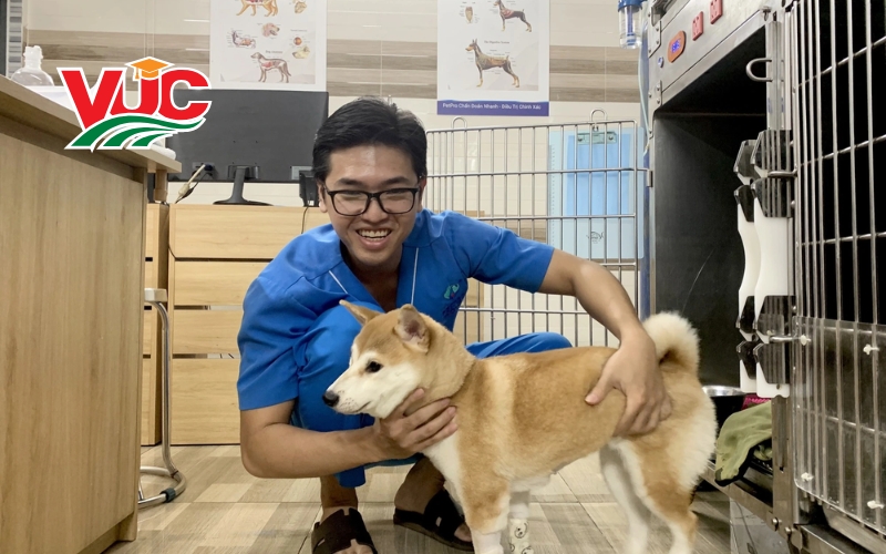 Thông tin tuyển sinh Cao đẳng Thú y