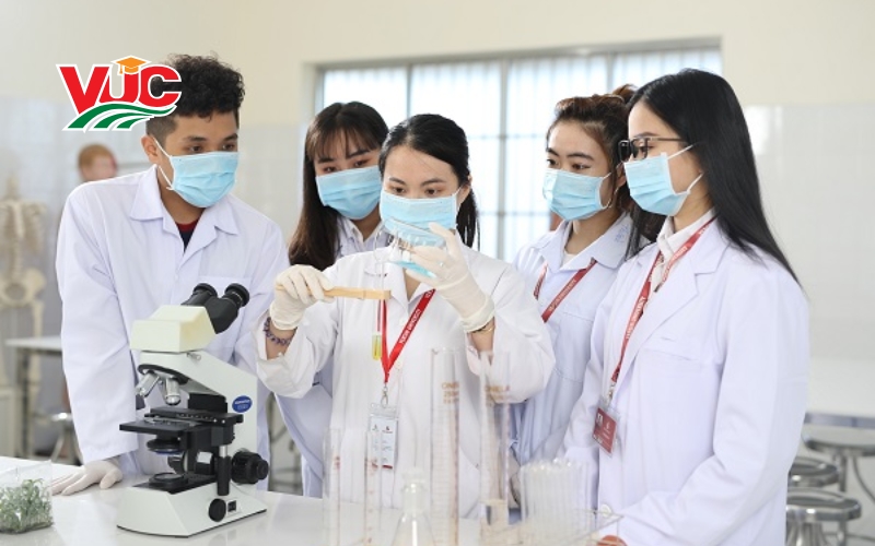 Thông tin tuyển sinh liên thông Cao đẳng Dược