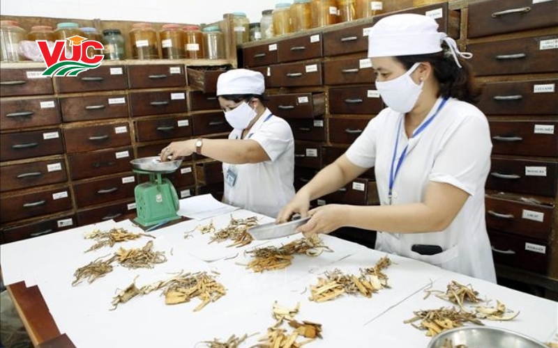 Thông tin tuyển sinh Trung cấp Y học cổ truyền cấp tốc tại VUC