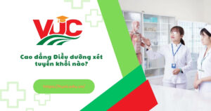 Cao đẳng điều dương