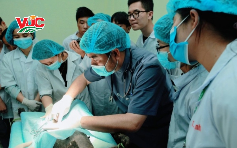 Chương trình khung Trung cấp Thú y
