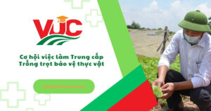 Học Trung cấp Trồng trọt bảo vệ thực vật