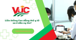 Liên thông Cao đẳng thú y từ xa