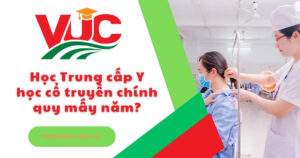 Học Trung cấp Y học cổ truyền chính quy