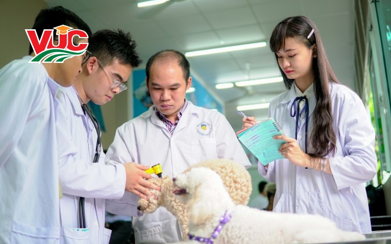 Thời gian học Trung cấp Thú y