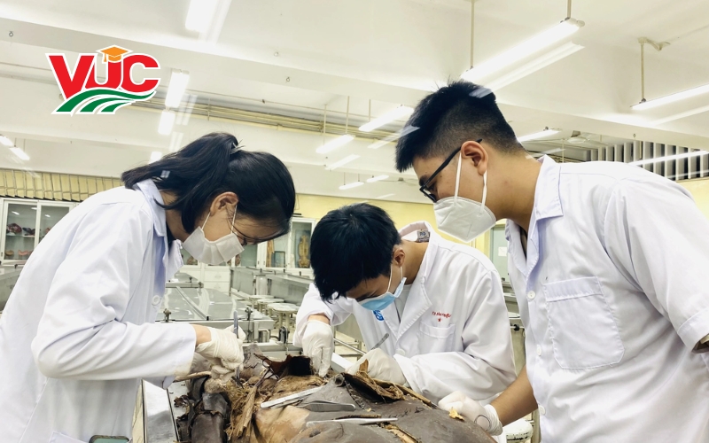 Chương trình khung Trung cấp Thú Y chính quy