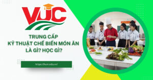 Trung cấp Kỹ thuật chế biến món ăn
