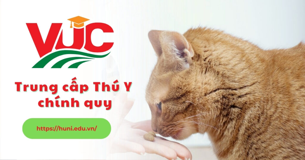 Trung cấp Thú y chính quy