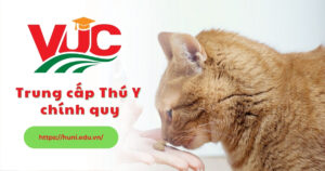 Trung cấp Thú y chính quy