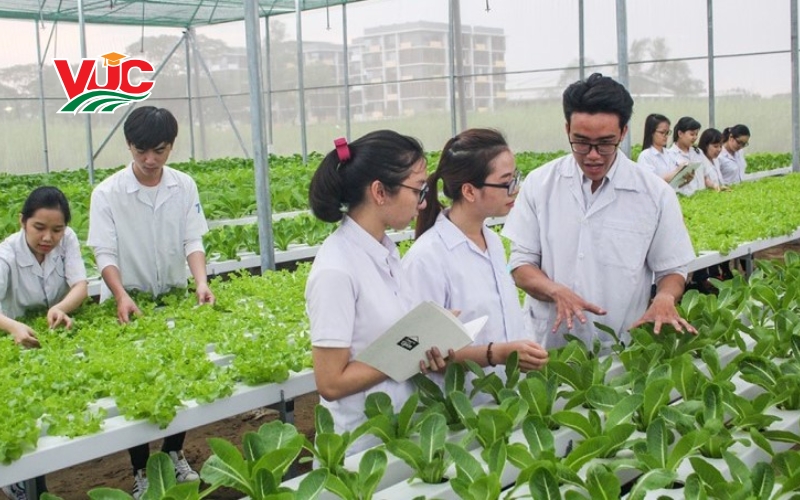 Chương trình khung Trung cấp Trồng trọt bảo vệ thực vật