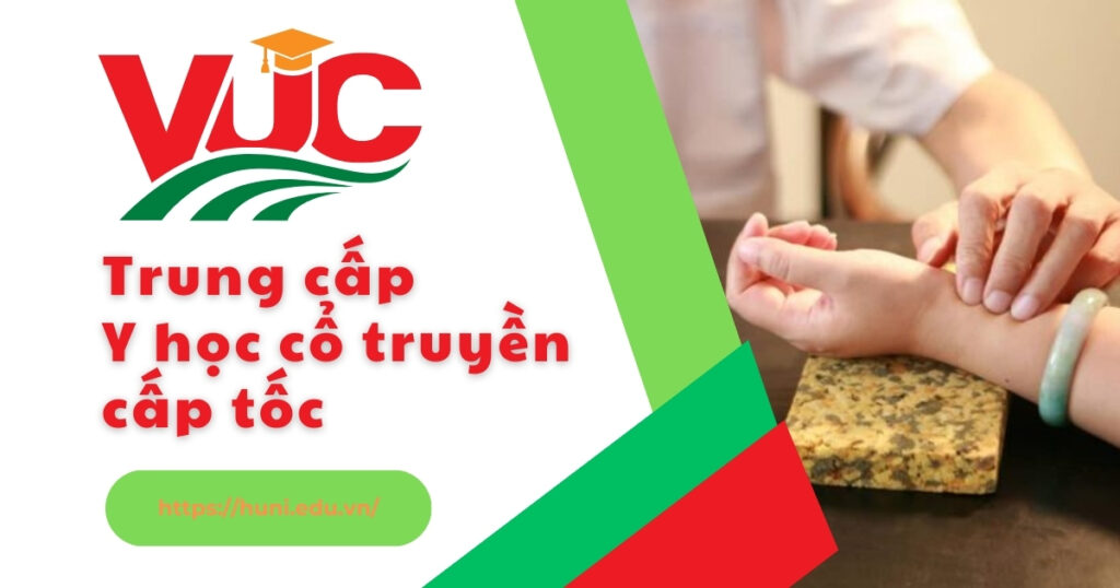 Trung cấp Y học cổ truyền cấp tốc