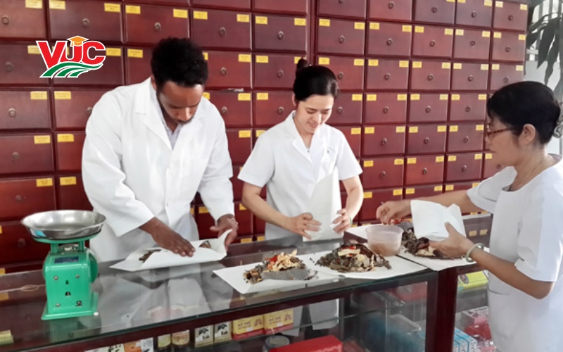 Chương trình Trung cấp Y học cổ truyền vừa học vừa làm