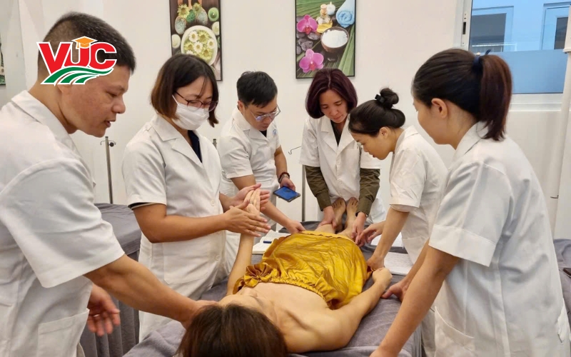 Cơn khát nhân lực Y sĩ Trung cấp Y học cổ truyền hiện tại