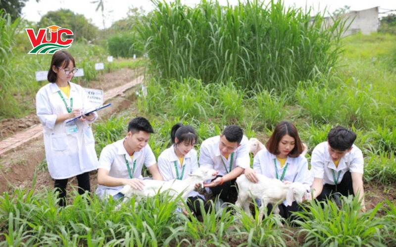 Tiêu chí đánh giá trường đào tạo Trung cấp Thú Y uy tín
