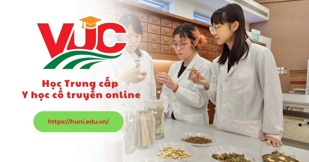Học Trung cấp y học cổ truyền online