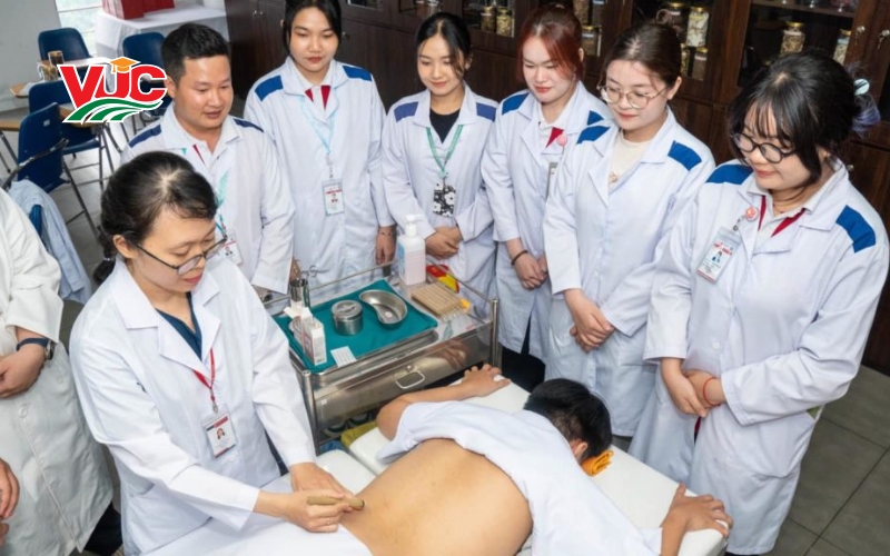 Chương trình khung Trung cấp Y học cổ truyền vừa học vừa làm VUC