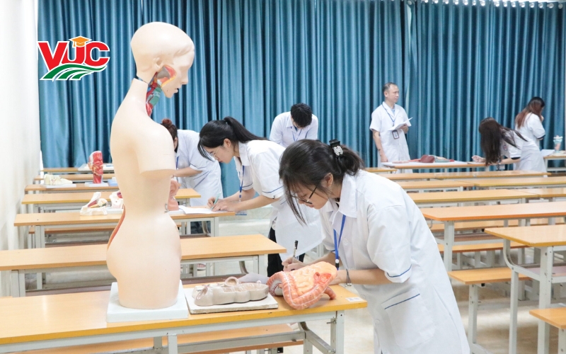 Trung Cấp Y sĩ đa khoa chính quy có được cấp chứng chỉ hành nghề không?