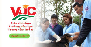 Tiêu chí chọn trường Đào tạo Trung cấp Thú y