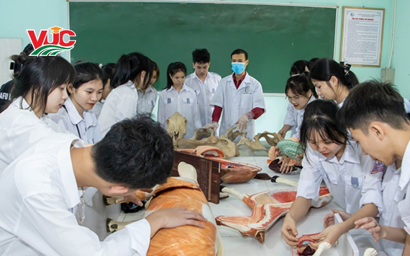 Học Trung cấp Thú Y tại Trường VUC