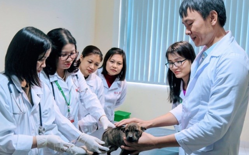 Học Trung cấp Thú y tại VUC có ưu điểm gì nổi bật chăng?