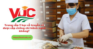 Trung cấp Y học cổ truyền có được cấp Chứng chỉ hành nghề