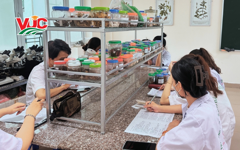 Học Trung cấp Y học cổ truyền online tại VUC có gì khác biệt?