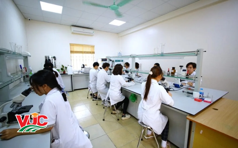 Chương trình khung Trung cấp Y học Cổ truyền online tại VUC