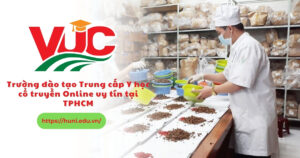 Trường đào tạo trung cấp y học cổ truyền online uy tind tại tphcm