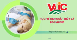 Học phí Trung cấp Thú Y