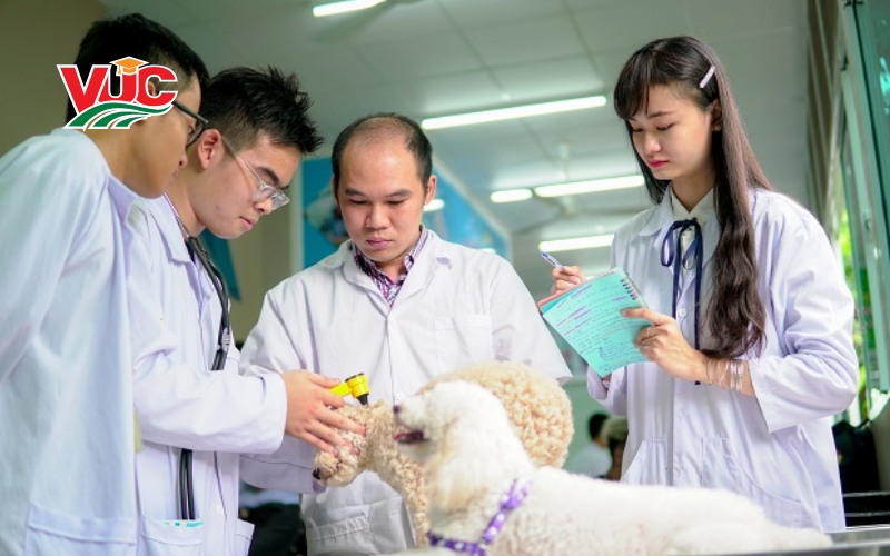 Thông tin tuyển sinh Trung cấp Thú Y