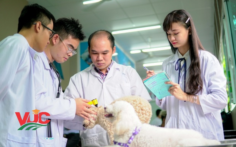 Thông tin tuyển sinh Trung cấp Thú Y