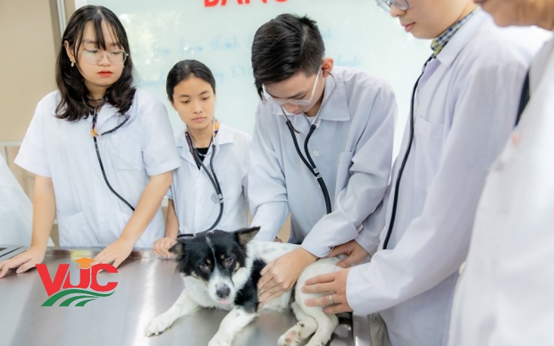 Mục tiêu đào tạo Trung cấp Thú Y