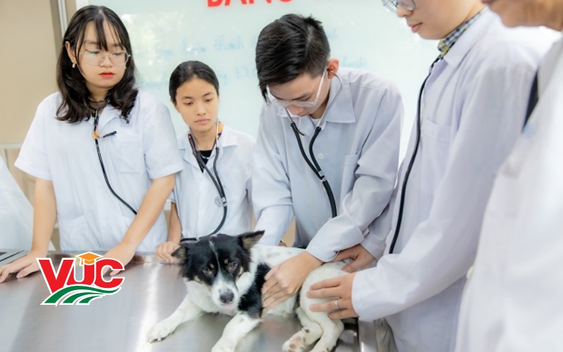 Thông tin tuyển sinh Trung cấp Thú Y từ xa tại VUC