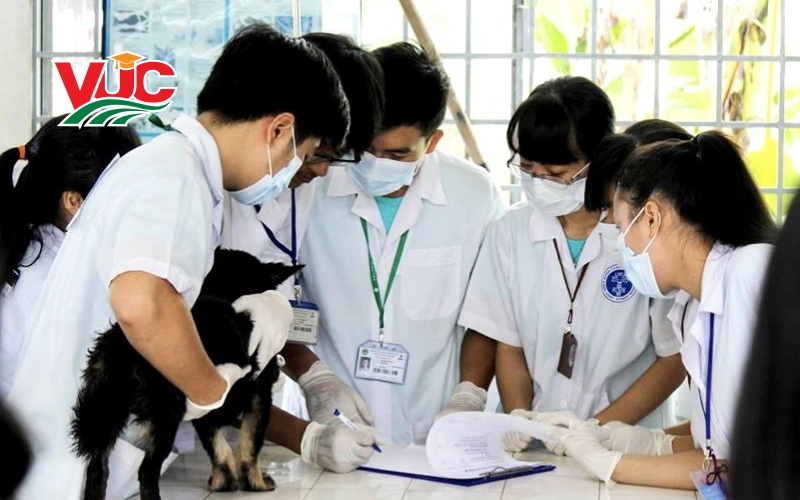 Linh hoạt thời gian – Chìa khóa vàng cho sinh viên Trung cấp Thú Y từ xa